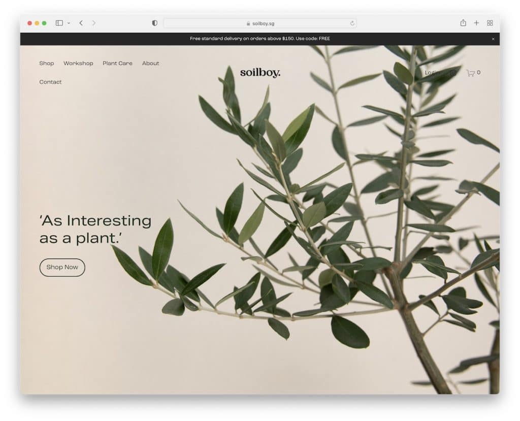 exemple de site Web simple de soilboy