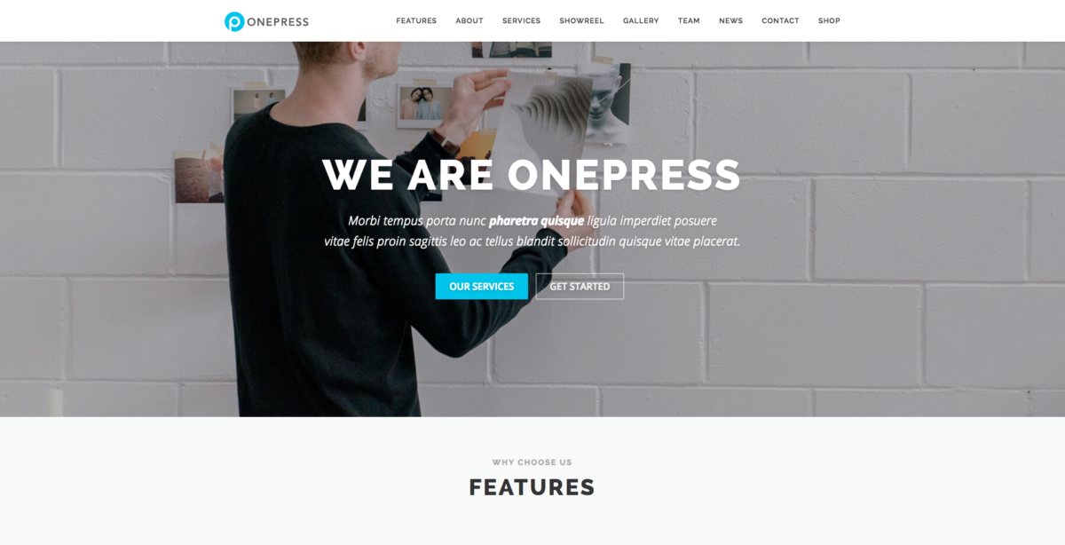 FireShot Capture 100 OnePress – Just another FameThemes https demos.famethemes.com onepress