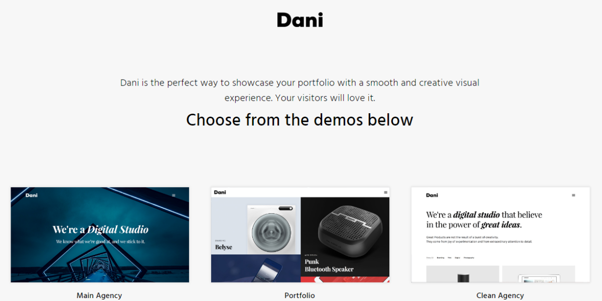 dani portfolio wordpress theme