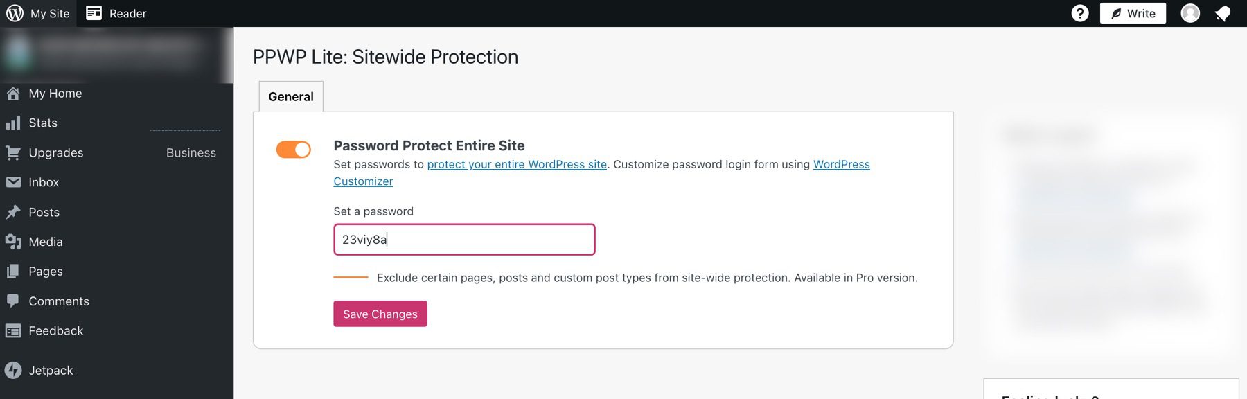 Option de protection de tout le site par mot de passe