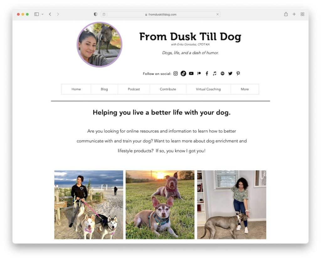 alacakaranlıktan köpek öğretmeni web sitesine kadar