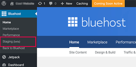 Site de teste para WordPress Bluehost