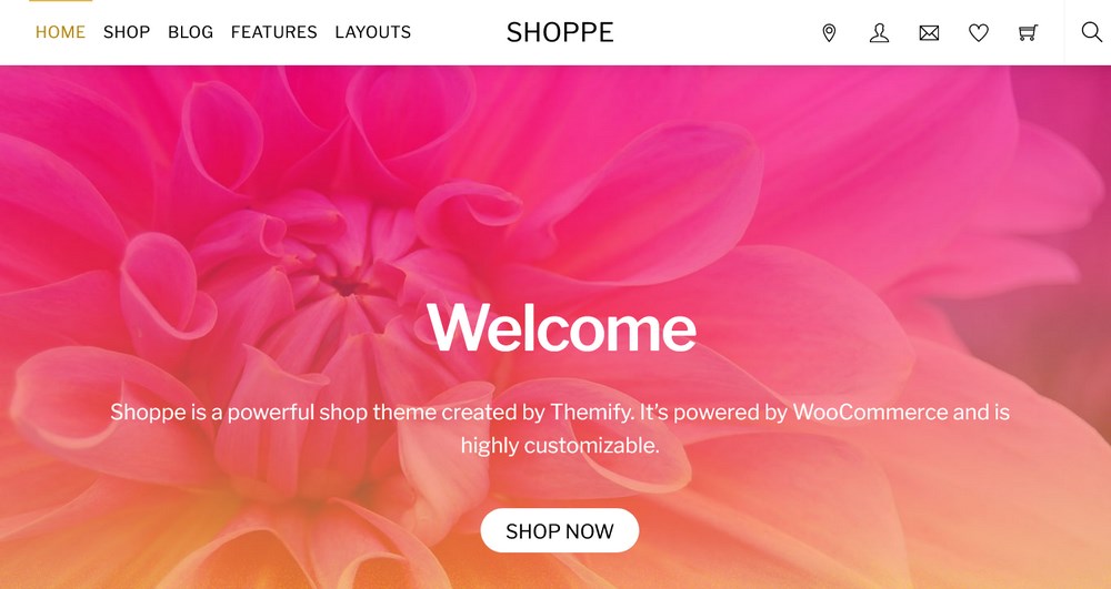 Thème WooCommerce polyvalent Shoppe