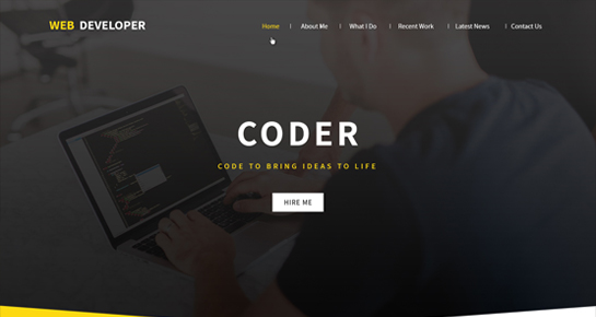 Tema Programmer Wordpress