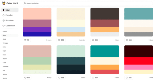 Color Hunt 홈페이지에서 찾은 팔레트 영감의 스크린샷