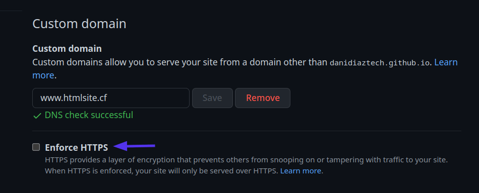 Abschnitt „Benutzerdefinierte Domäne“ mit der Markierung „DNS-Prüfung erfolgreich“ und der Schaltfläche „HTTPS erzwingen“.