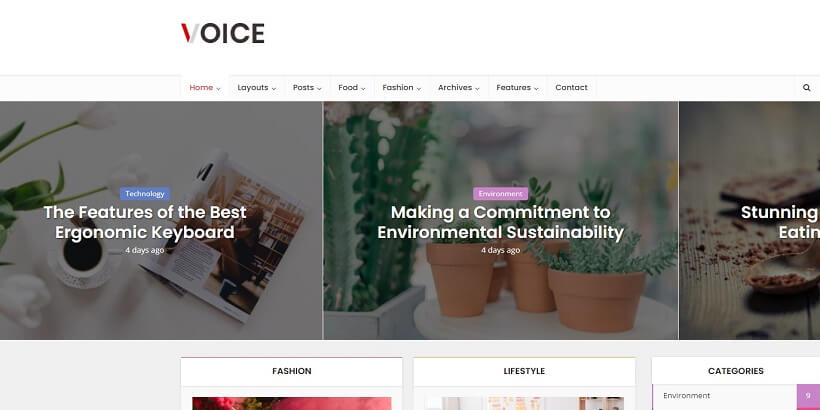 Voice-Best-Amazon-Affiliate-WordPress-主题