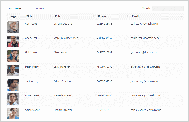 wordpress 示例屏幕截图中的作者动态表