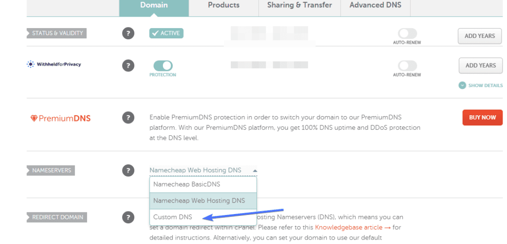 Seleccionar DNS personalizado