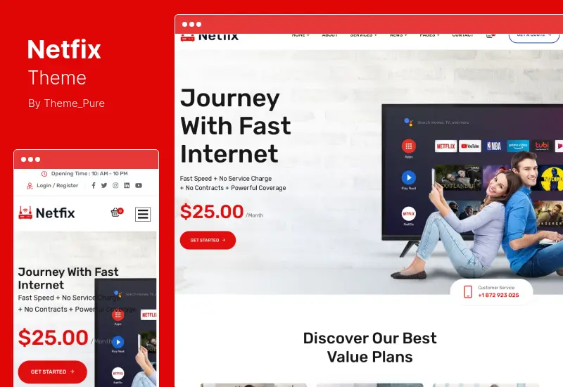 Netfix Theme - Tema de WordPress para servicios de banda ancha e Internet