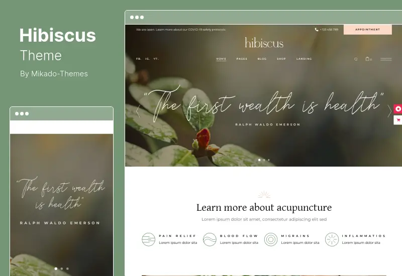 Hibiscus 主题 - 替代医学和有机商店 WordPress 主题
