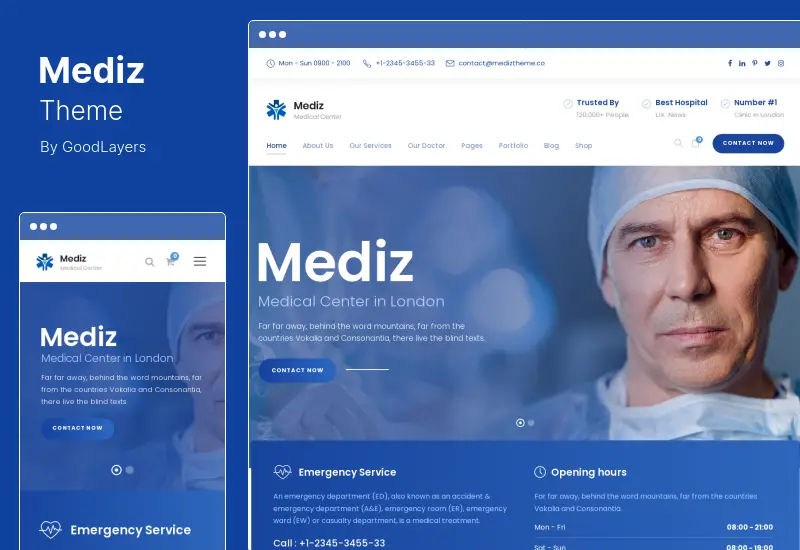 Mediz 主题 - 医学 WordPress 主题