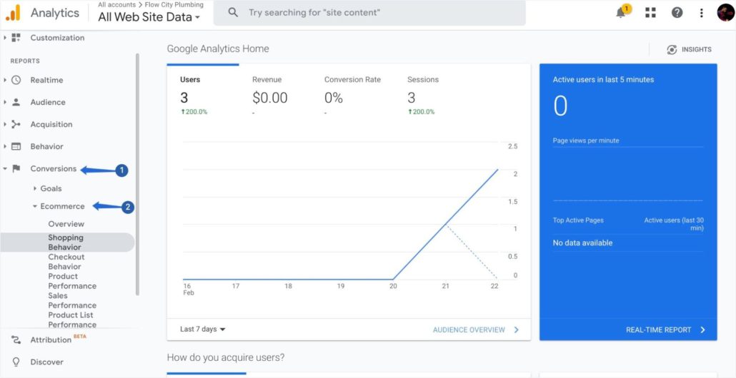 Visualizza le prestazioni del negozio su Conversioni >> sezione E-commerce