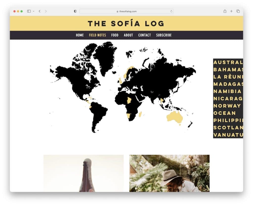 sofia log wix blog örneği