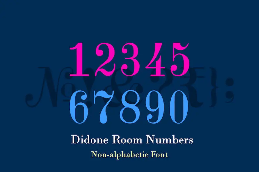 Didone 房间号 -