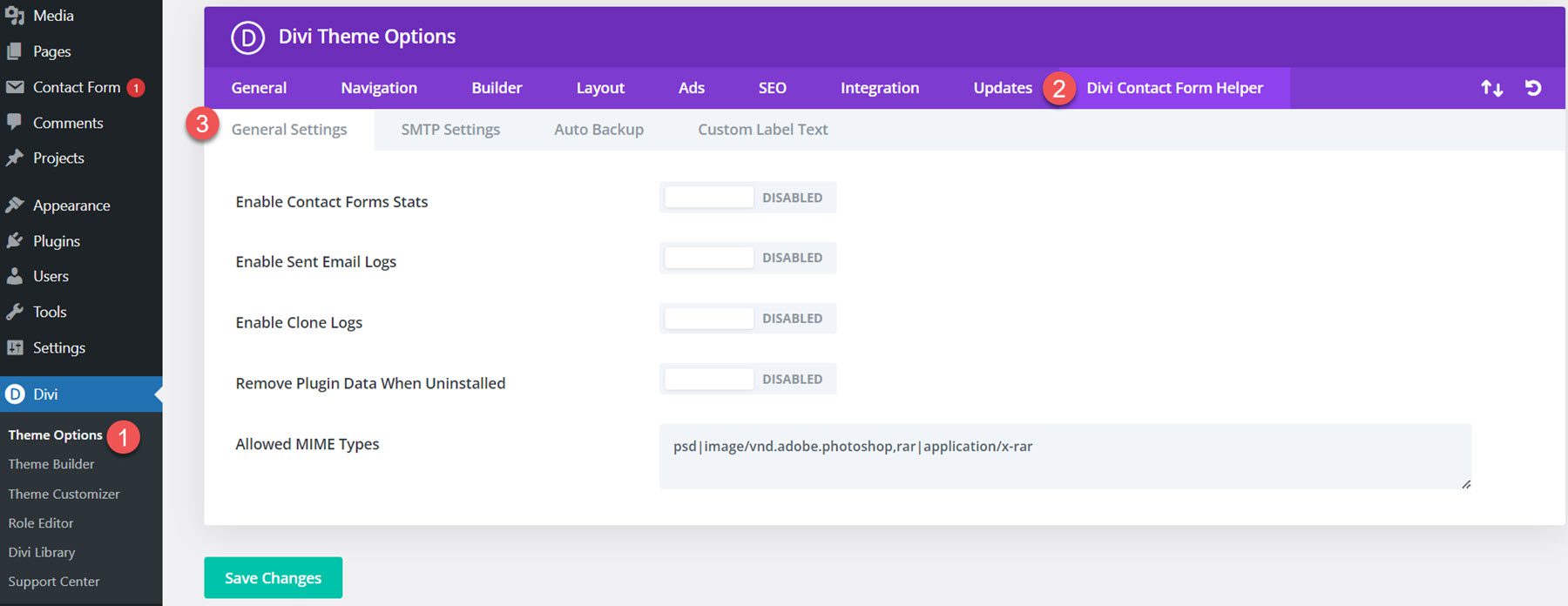 Divi 插件突出顯示 Divi 聯繫表助手主題選項常規設置