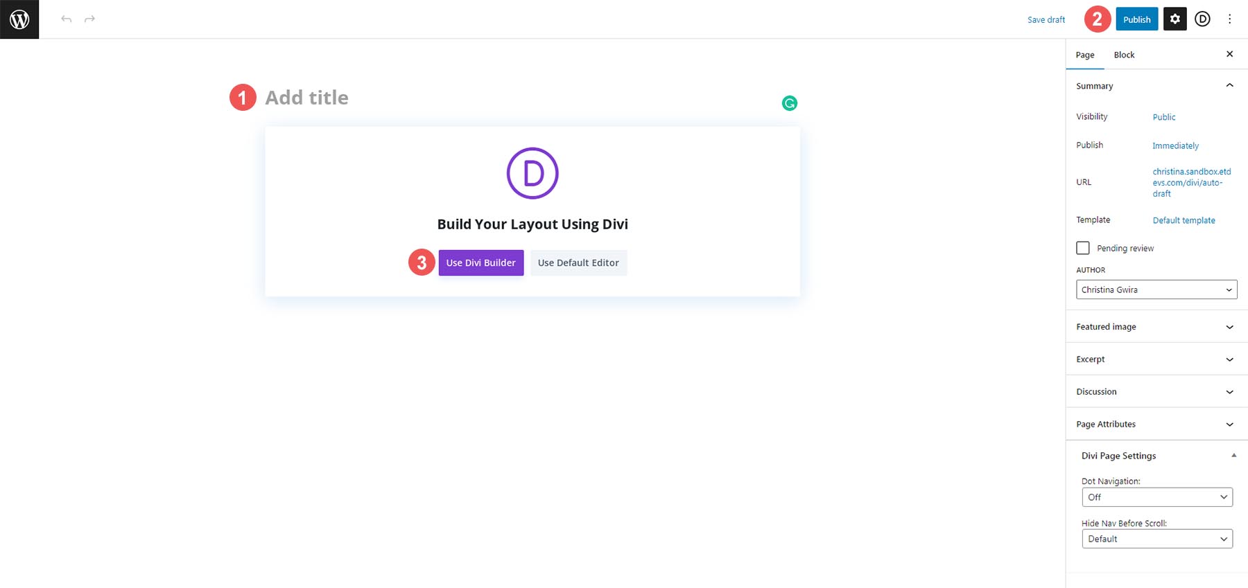 Titrez et publiez une nouvelle page avant d'activer Divi Builder