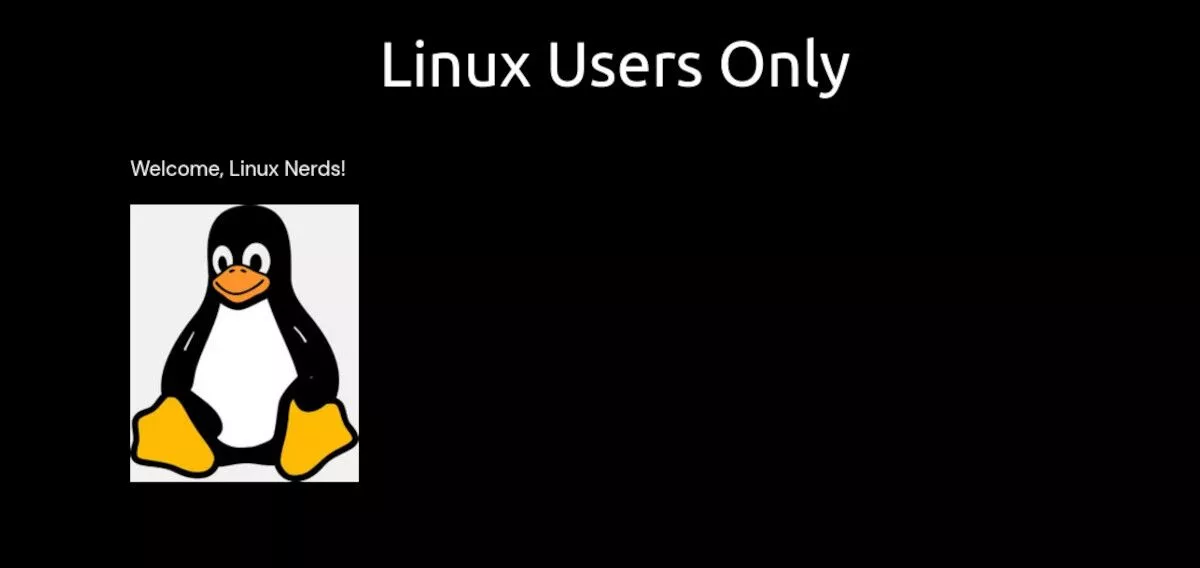 Linux ユーザー専用ページのスクリーンショット