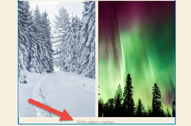 ブロックの下部にある [ギャラリー キャプションを書く] 領域を指している赤い矢印で選択されたギャラリー ブロック