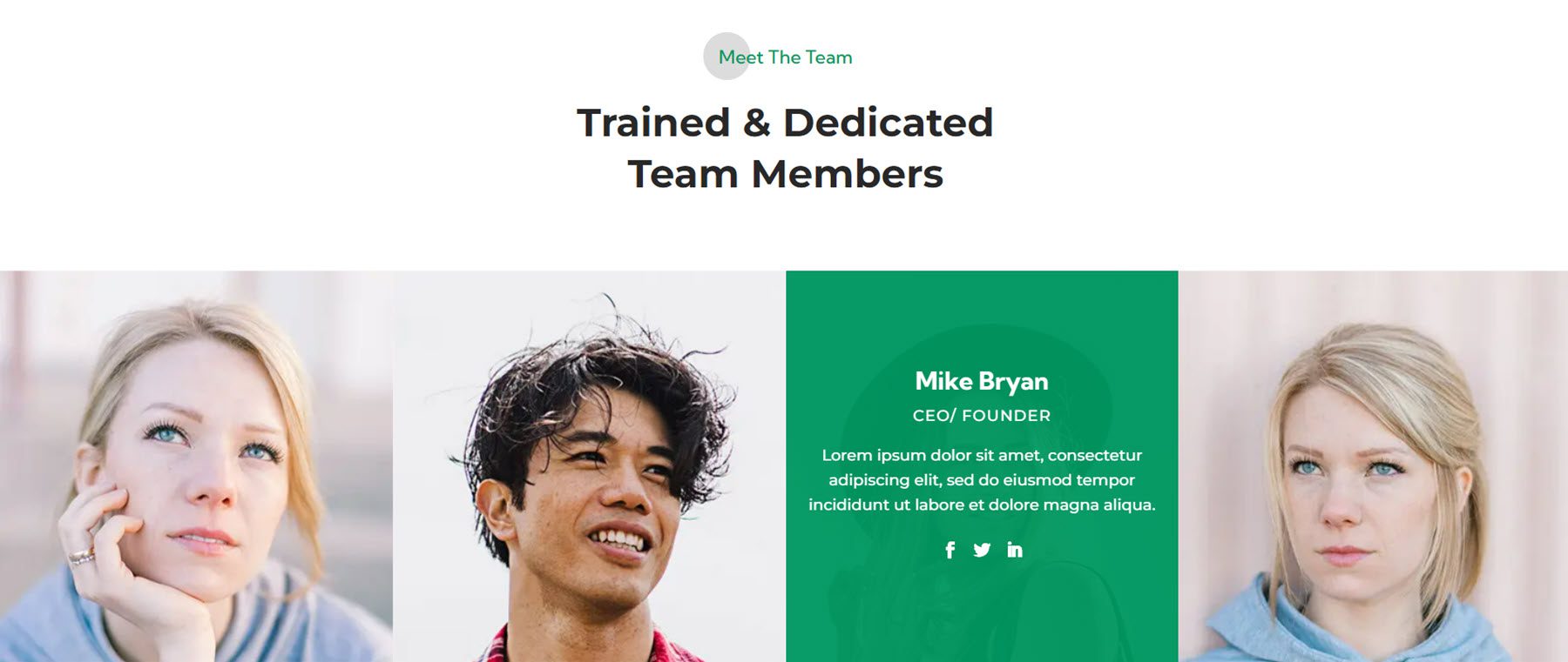 Tim Webkit Divi Serbaguna Terbaik