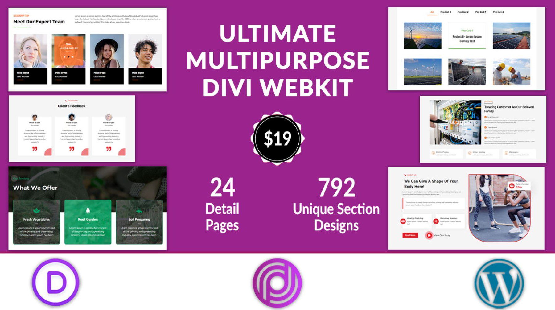 Ultimo acquisto di Divi Webkit multiuso