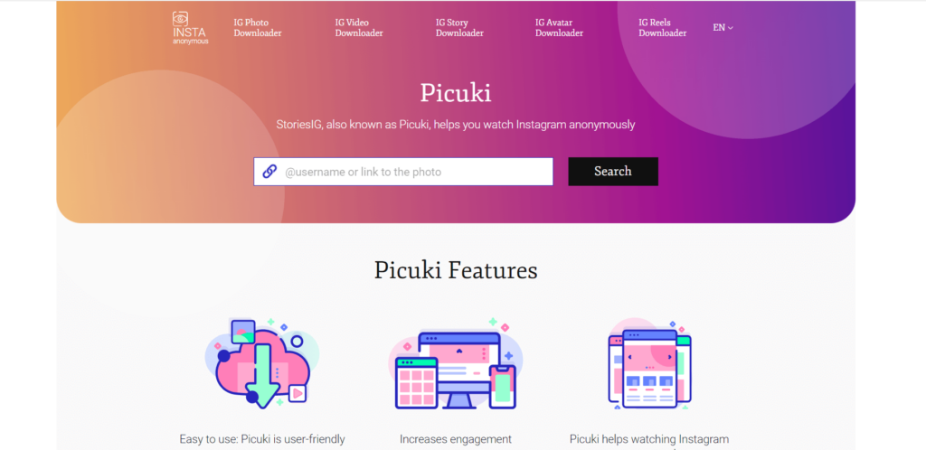 Picuki-Homepage