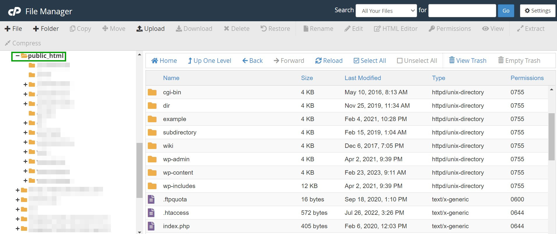 trovando la cartella public_html in cpanel