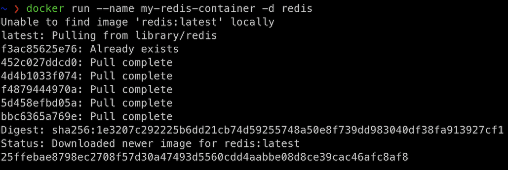 Eseguire l'immagine Redis da Docker Hub denominata my-redis-container