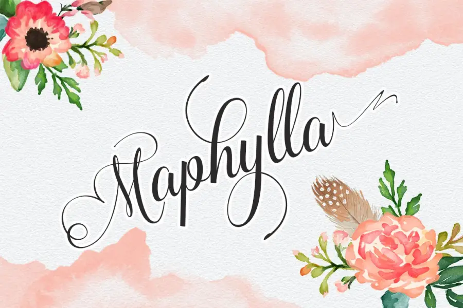 Maphylle -