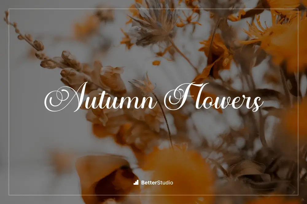 Fleurs d'automne -