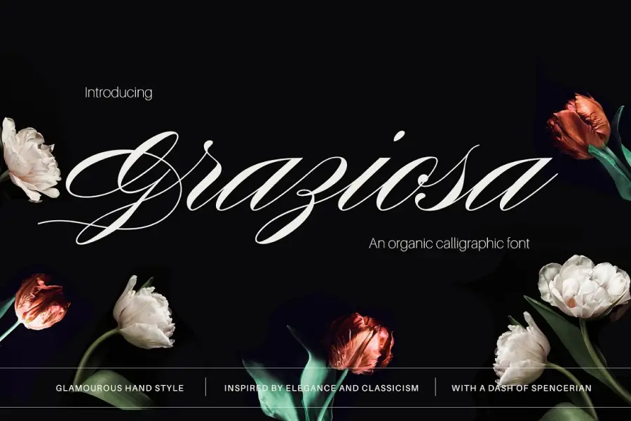 Graziosa Script -