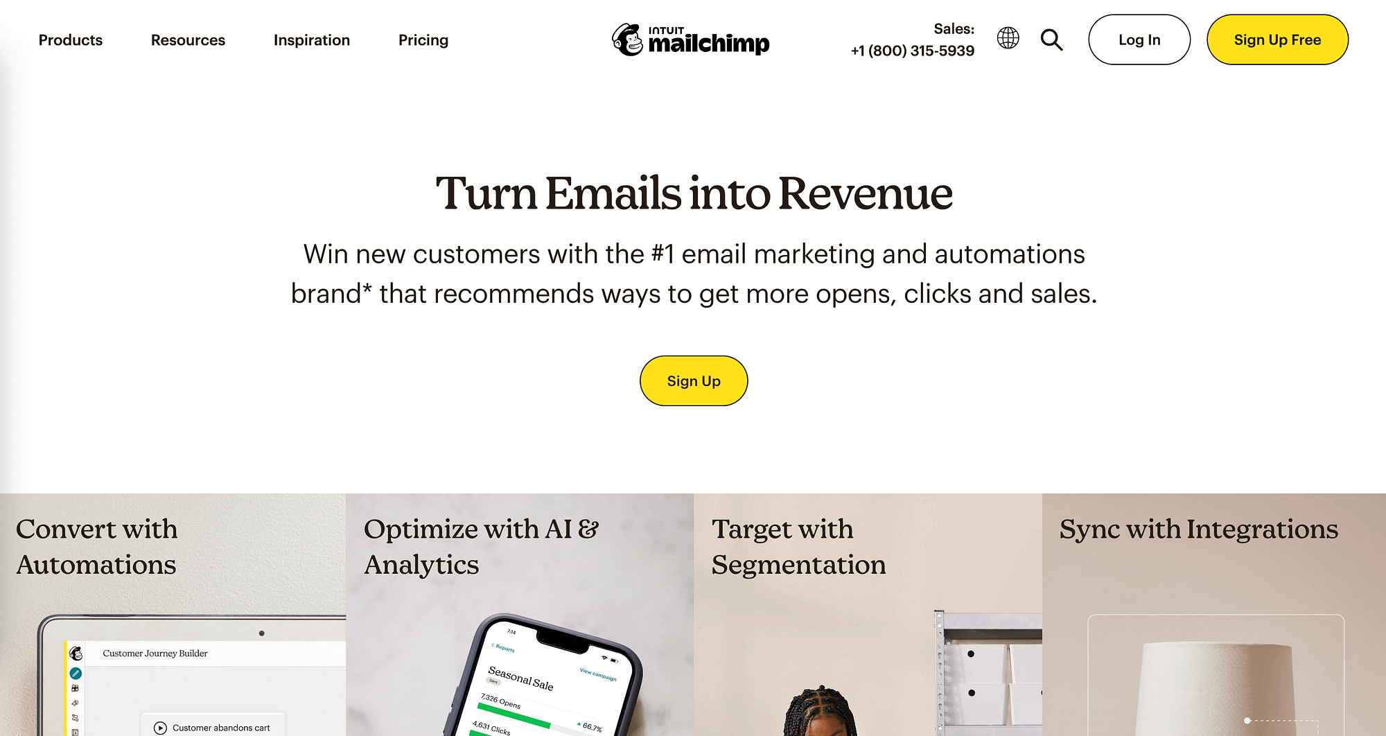 اسم المجال مقابل URL Mailchimp