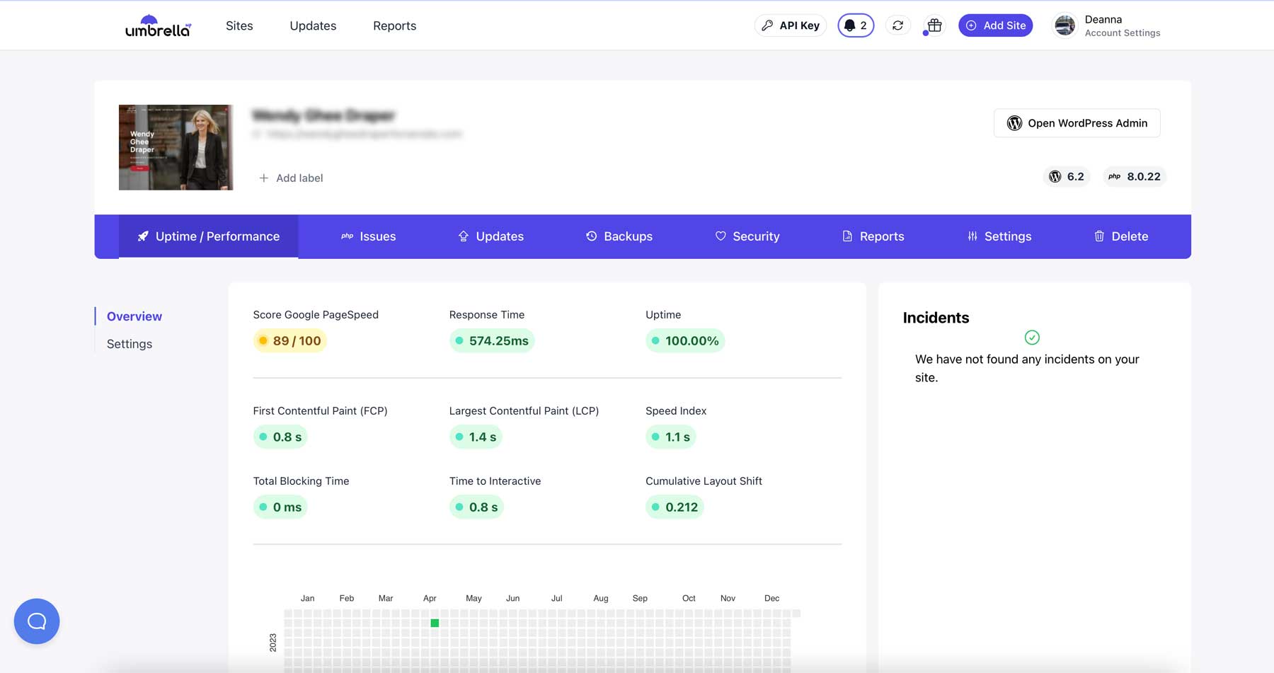 WP Umbrella analytics