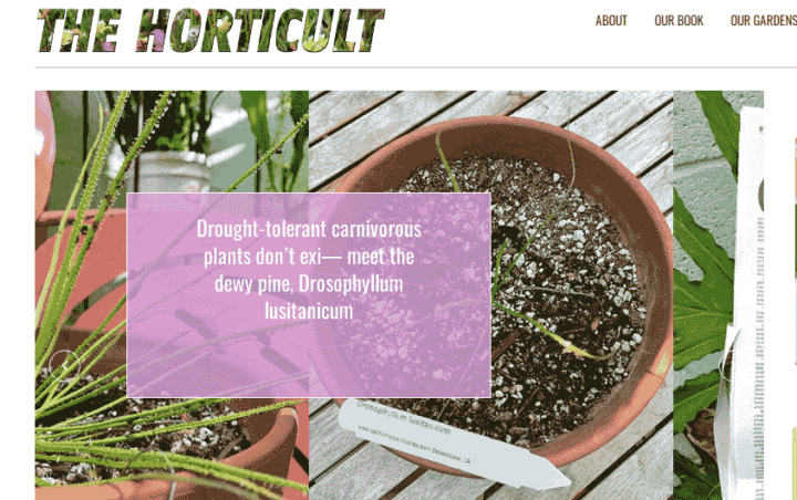 A página inicial do blog Horticult Gardening