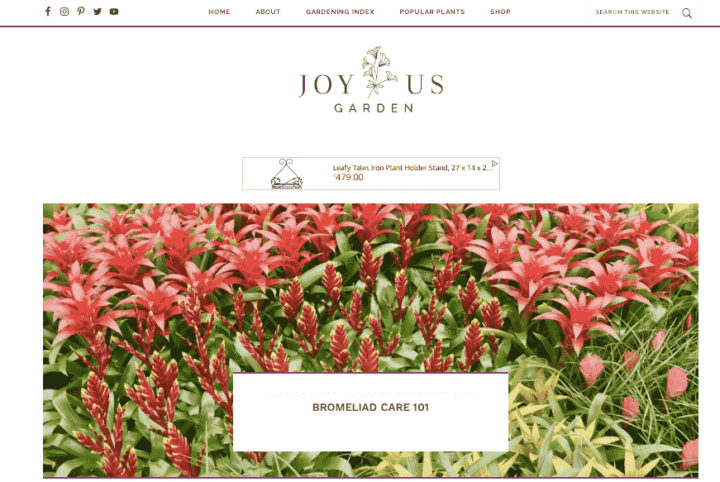 Home page del blog di giardinaggio del giardino di Joy Us