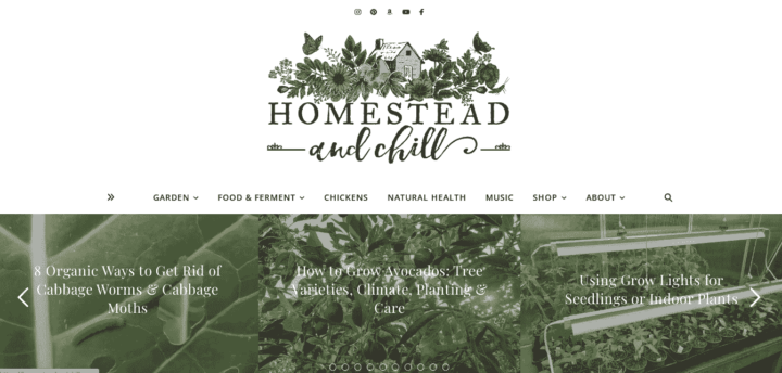 Homestead und Chill Gardening Blog Homepage