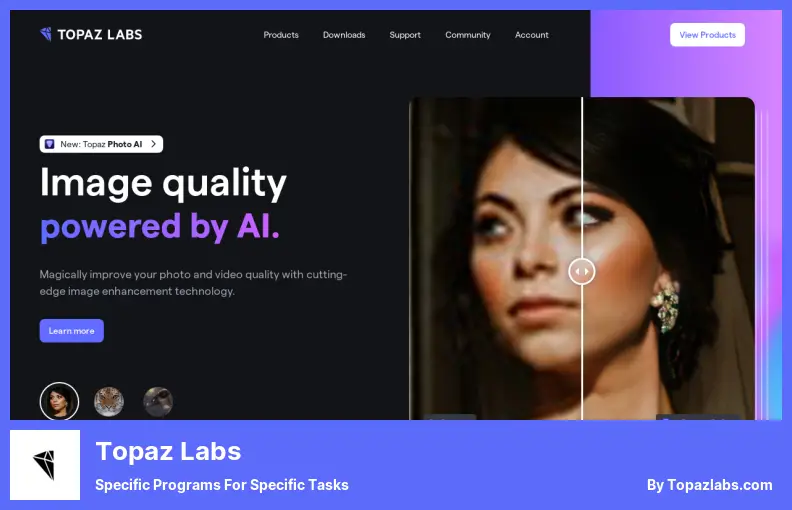 Topaz Labs - Belirli Görevler İçin Özel Programlar