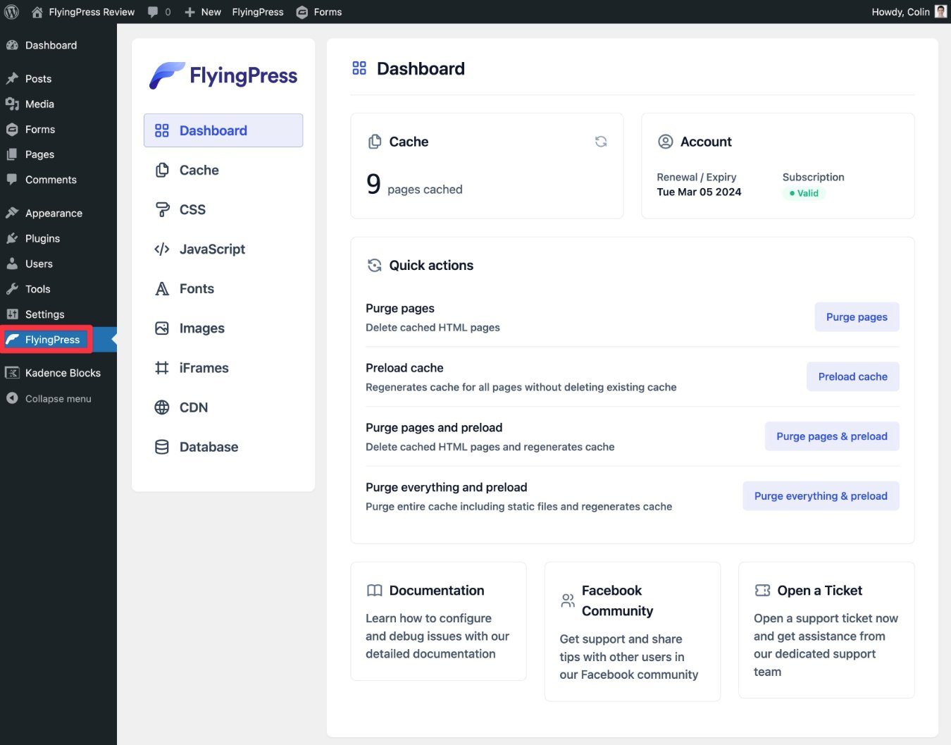 Revisione della dashboard di FlyingPress