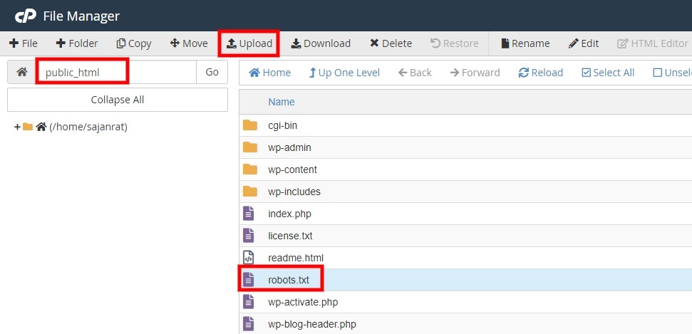 caricare file cpanel rimuovere robots.txt da wordpress