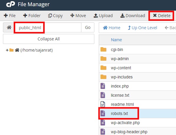 ลบไฟล์ cpanel ลบ robots.txt จาก wordpress