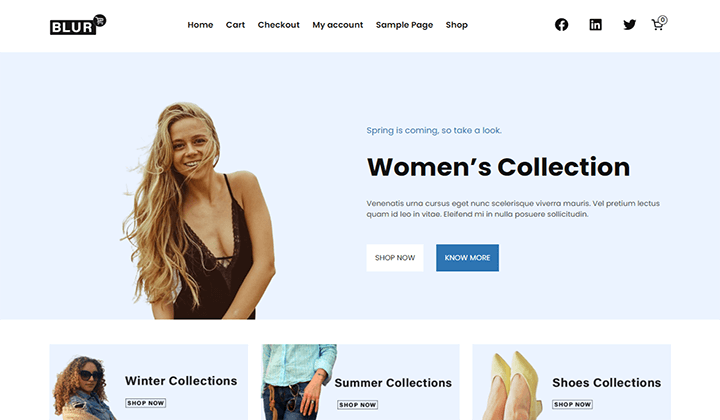 This is the image of  Blur theme, best eCommerce block theme for WordPress.