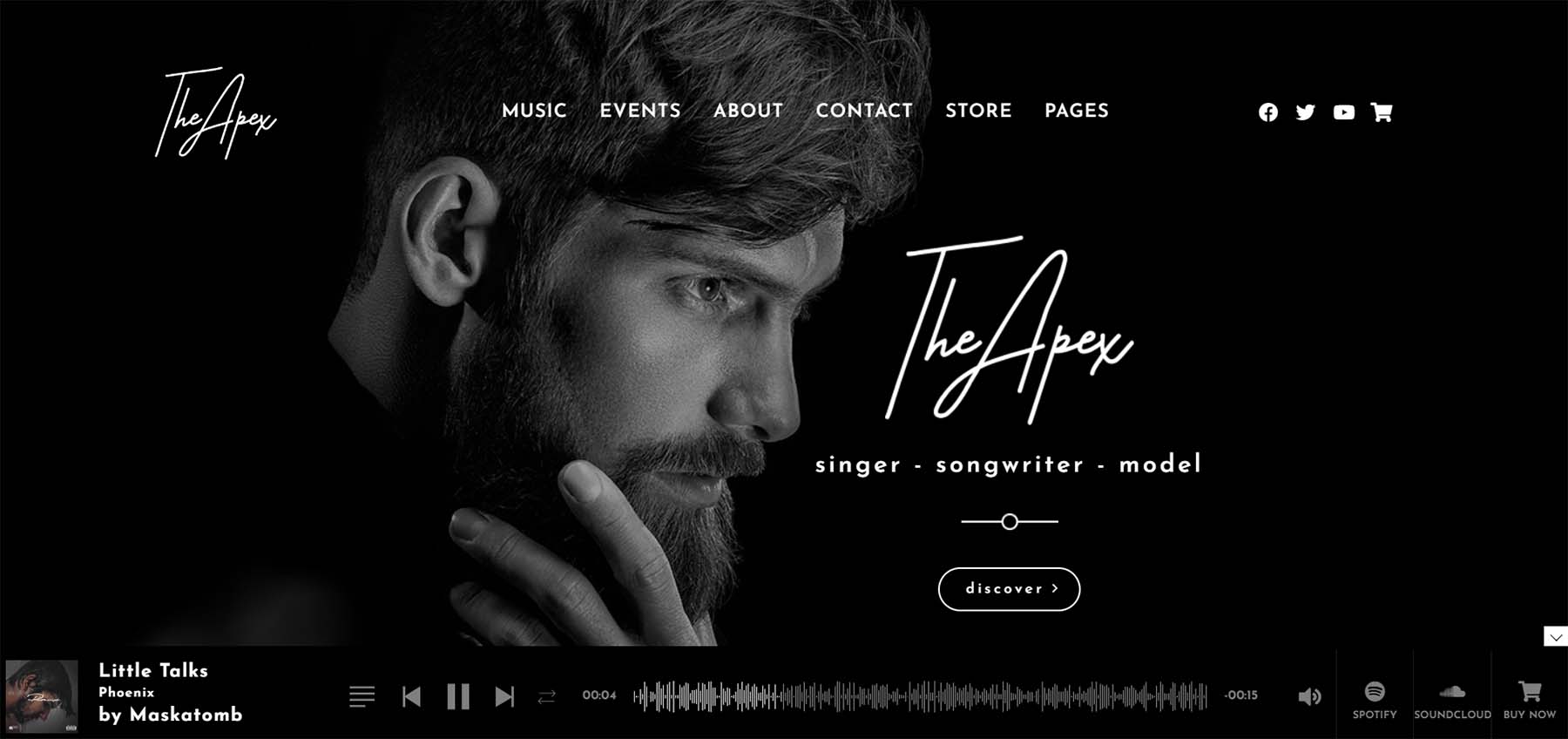 مواقع الويب Apex for Music WordPress