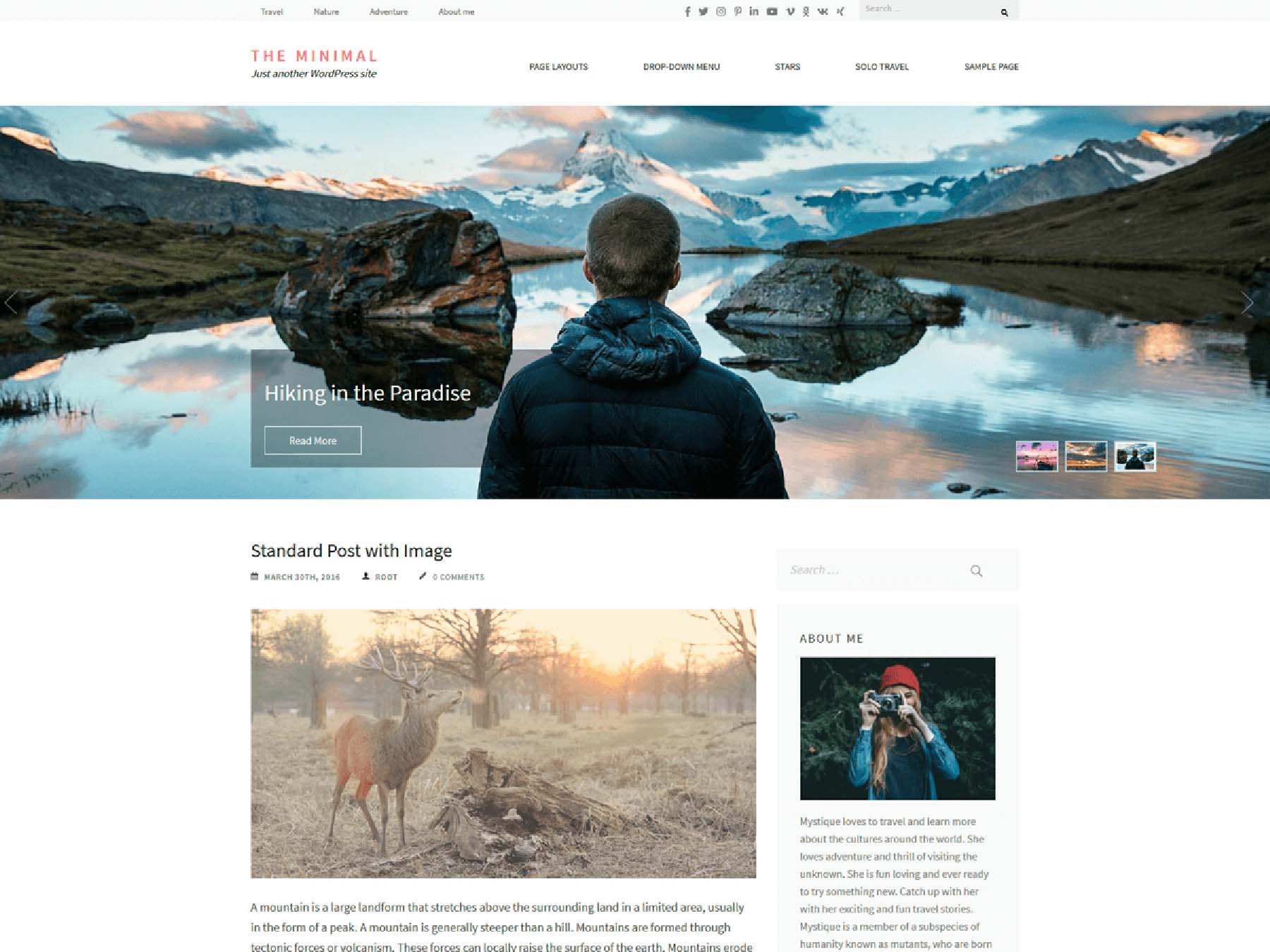 Minimal Pro, ein minimalistisches WordPress-Theme