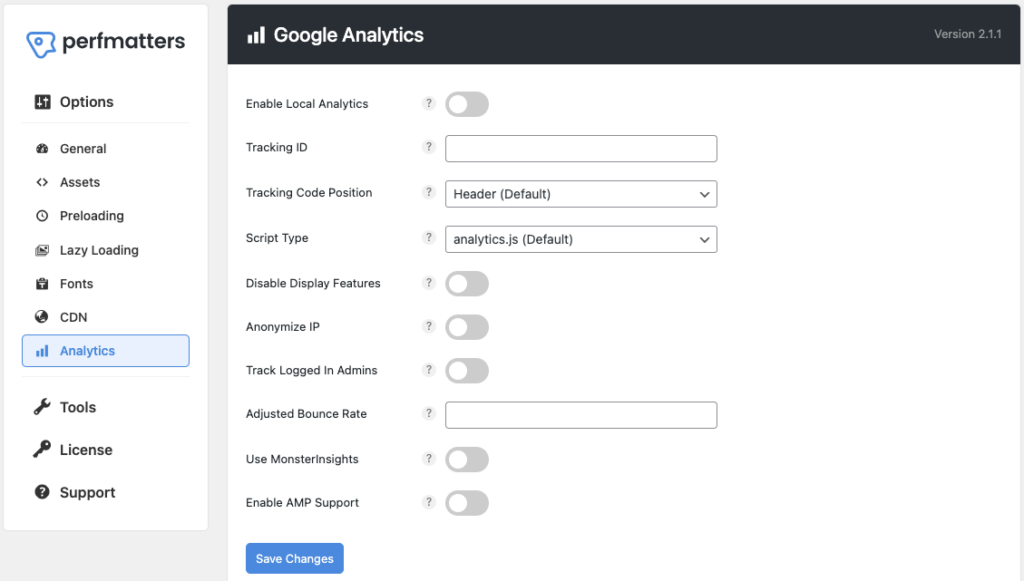 perfmatters-google-analytics-impostazioni