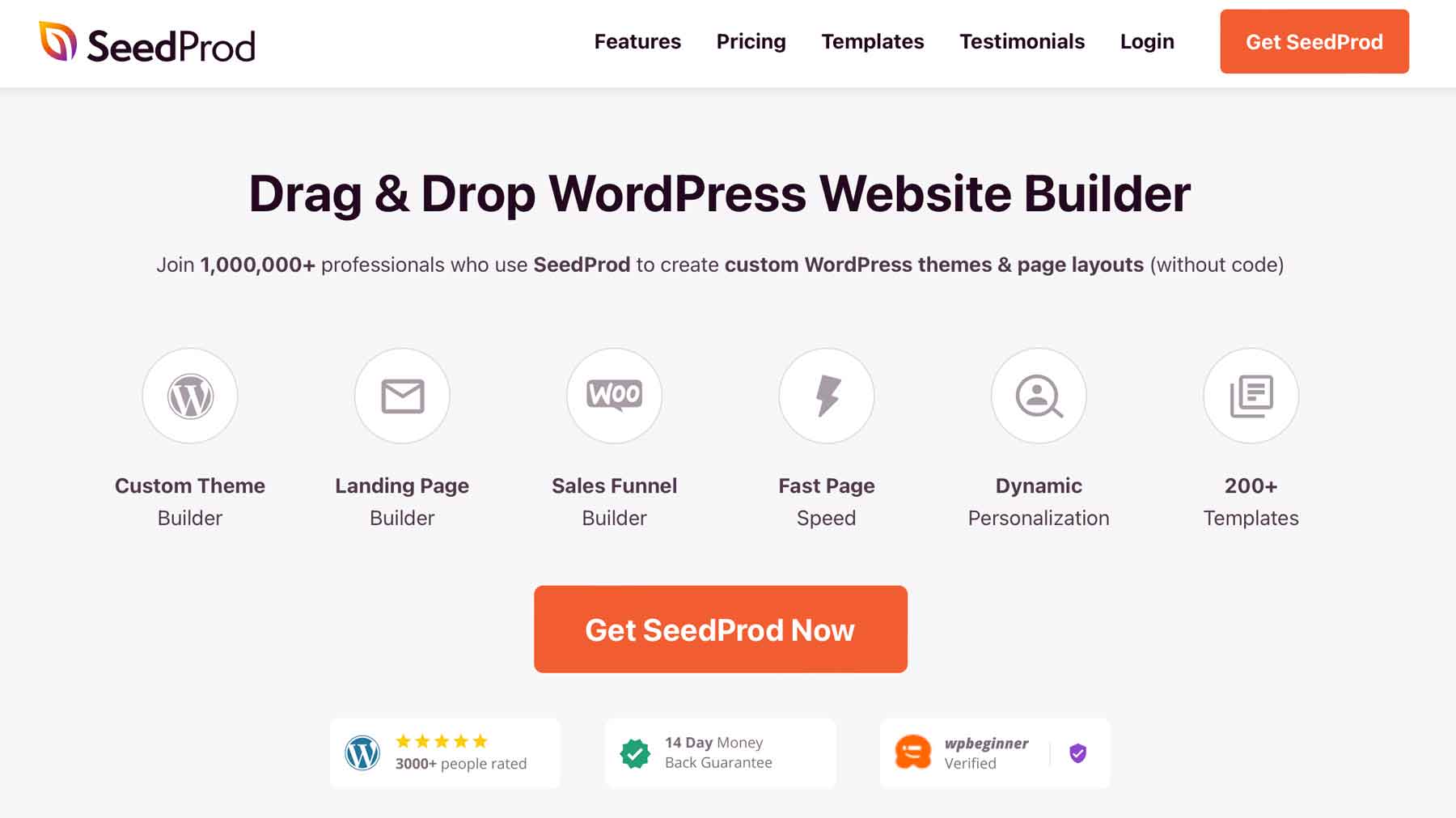 SeedProd duyarlı WordPress teması