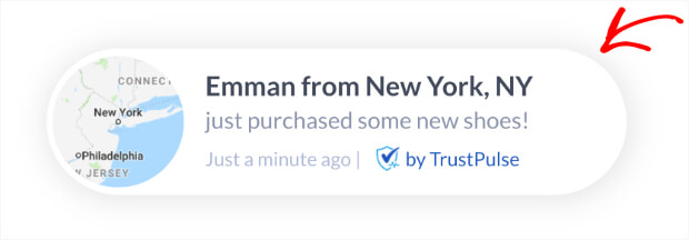 屏幕上 TrustPulse 通知的预览