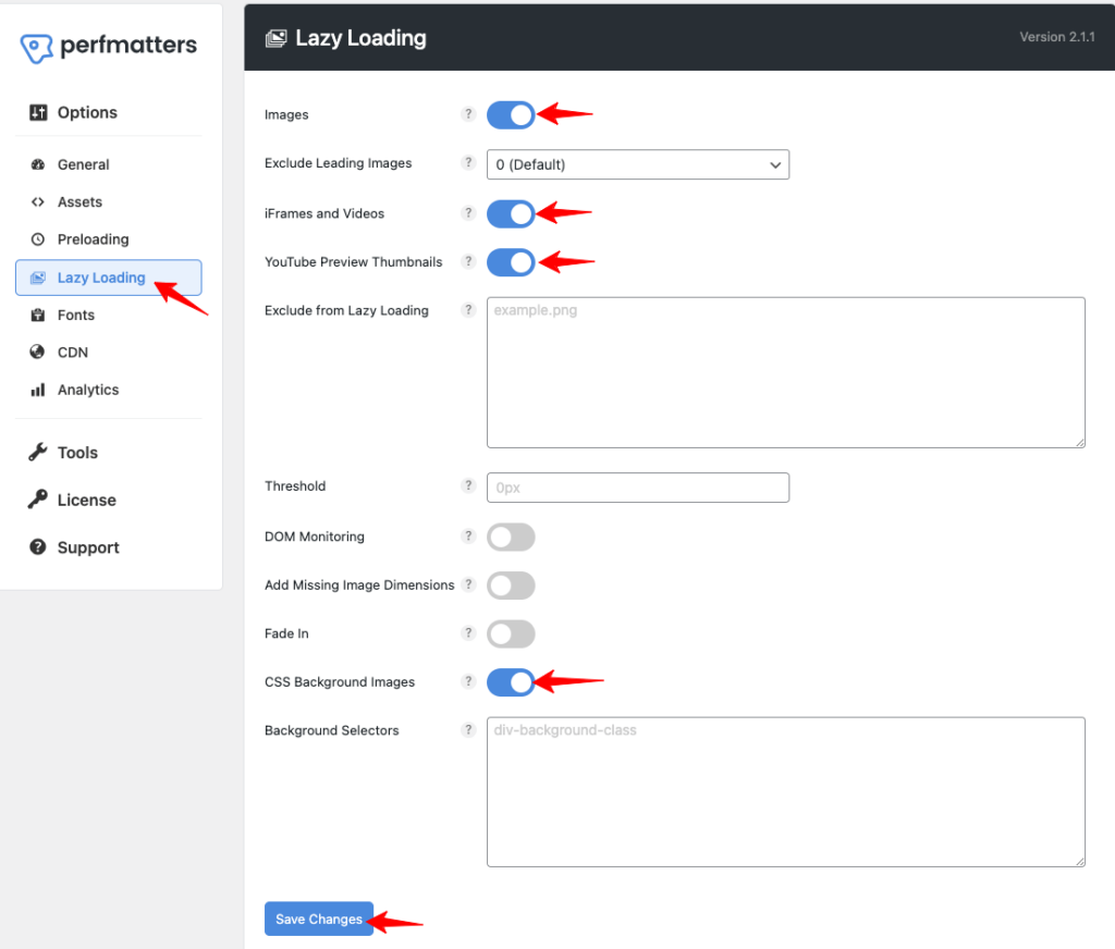 perfmatters-lazy-load-ayarları