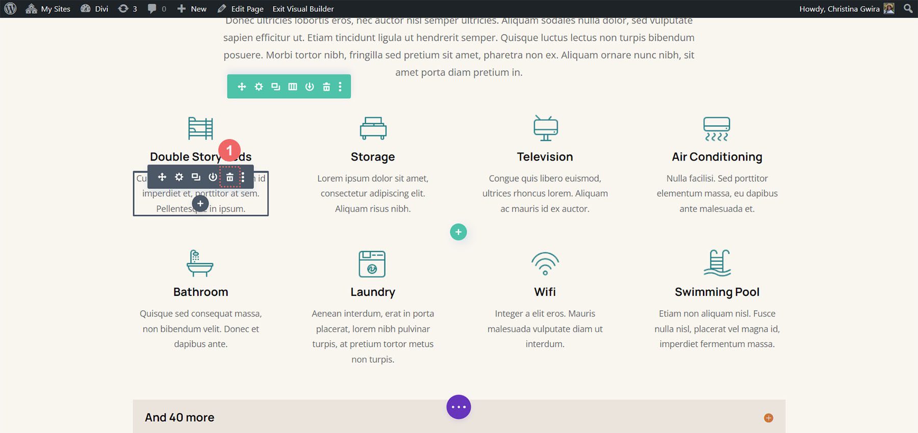 Supprimer les anciens modules du template de page Divi Hostel