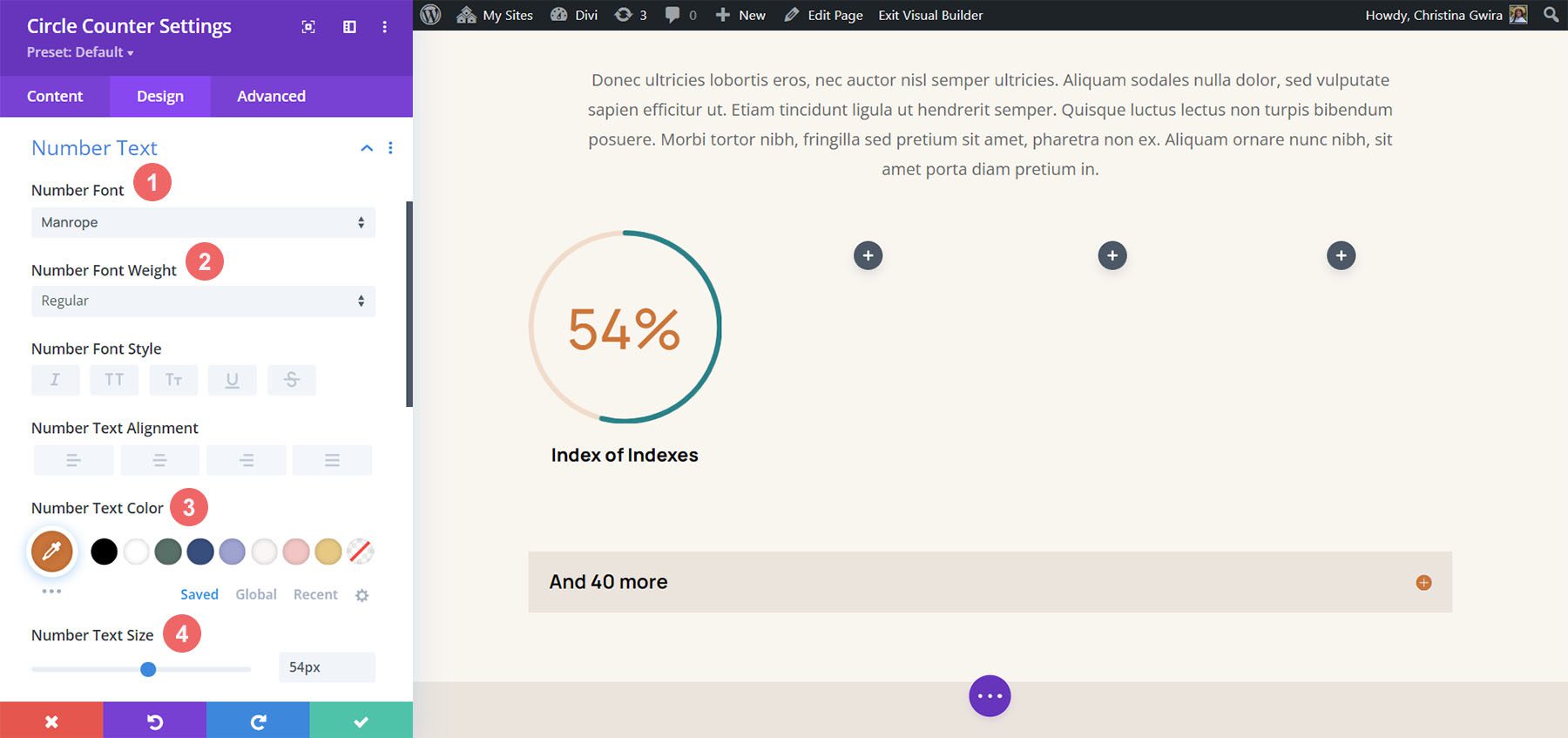 Stile dei caratteri numerici per il Circle Counter Module Divi Hostel