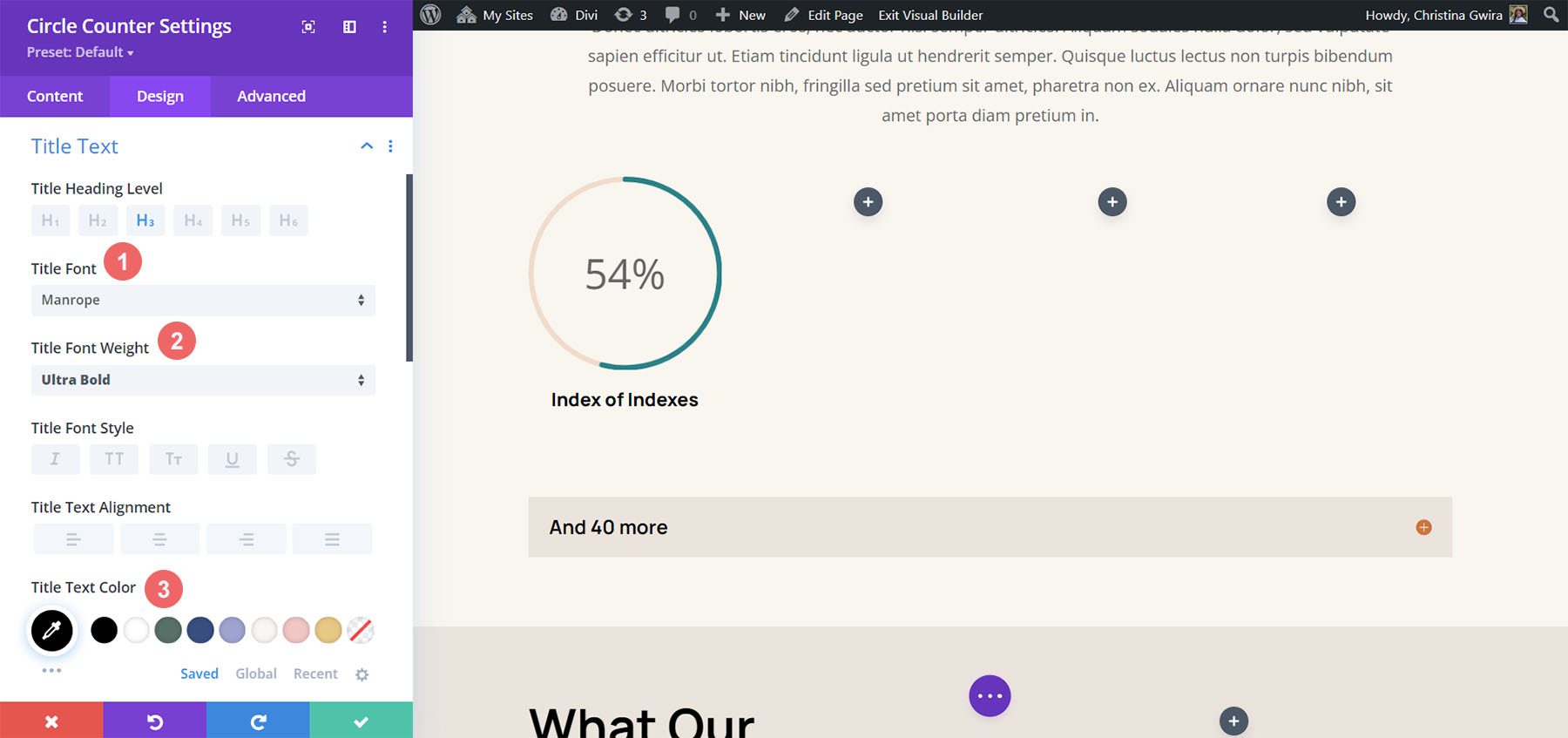 Divi Hostel Layout Pack の Circle Counter モジュールのタイトル テキスト設定